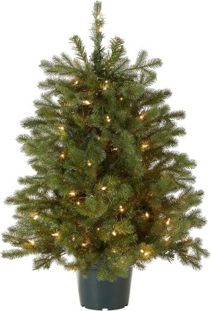 National Tree Company 3 ft Pre-Lit Hampton Spruce Mini Artificial Christmas Tree, 100 Clear Lights, 579 Tips, Green Growers Pot
