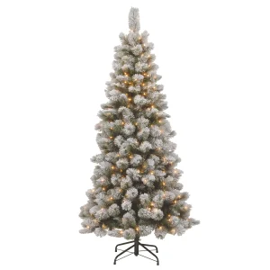 7.5 ft. Pre-Lit Snowy Bristle Pine Slim Tree with Clear Lights