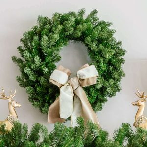 24 Cypress Spruce Wreath with Warm White LED Lights (Battery Operated)