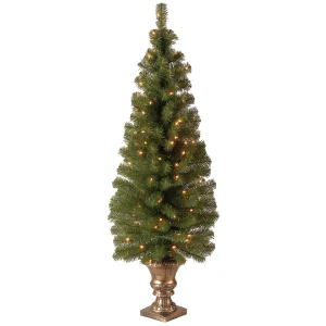 4 ft. Pre-Lit Montclair Spruce Tree with Clear Lights, Plug-In