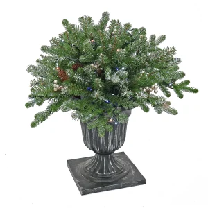 24 in. Pre-Lit Snowy Morgan Spruce Porch Bush with Twinkly LED Lights, Plug-In