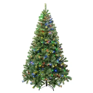 6 ft. Pre-Lit Sagamore Tree with Multi LED Lights, Plug-In